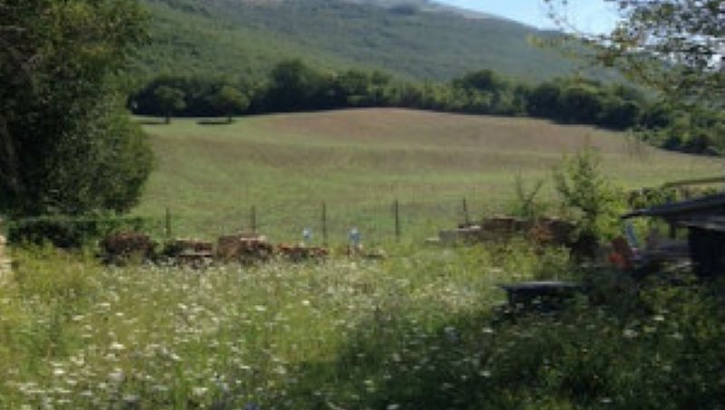MARCHE – CANTIANO – Complesso Rurale – Varie Destinazioni d’uso Ambiente immobile 115126233
