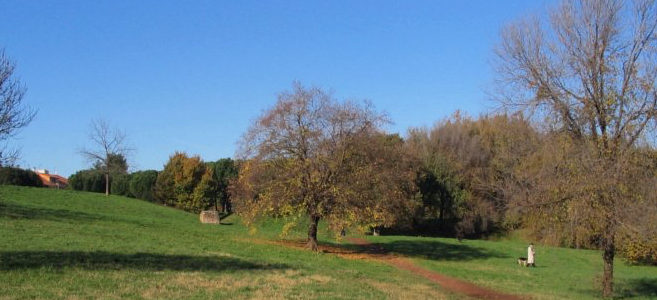 APPIA ANTICA-Ardeatina – Capannoni con annesso terreno – Possibilità trasformazione Residenziale APPIA ANTICA-Ardeatina – Capannoni con annesso terreno – Possibilità trasformazione Residenziale
